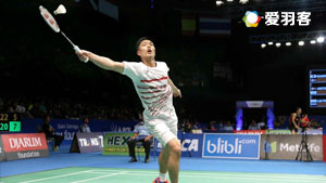 现出了极高 现出了极高